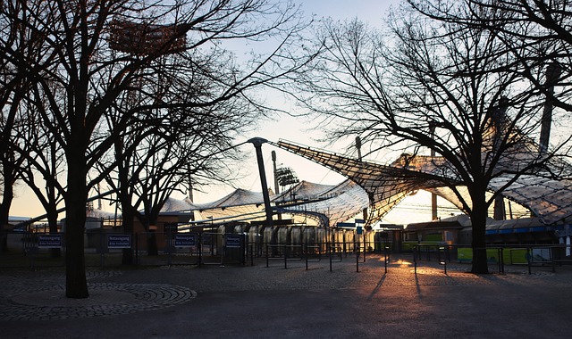 个研究媒介 个研究媒介