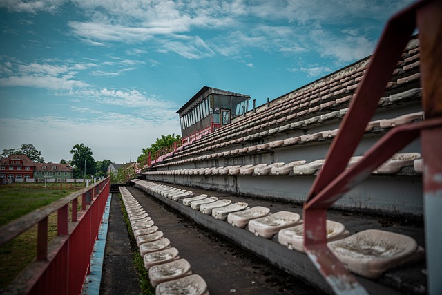 誓死捍卫荣 誓死捍卫荣