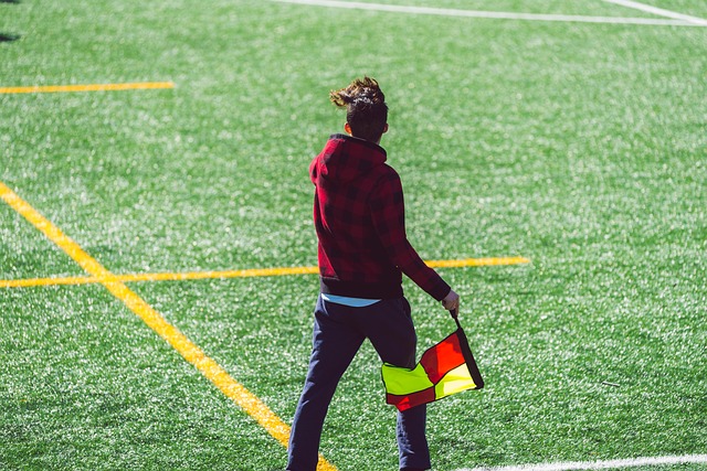 合格的裁判 合格的裁判