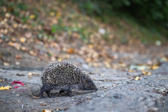 更具韧性 更具韧性
