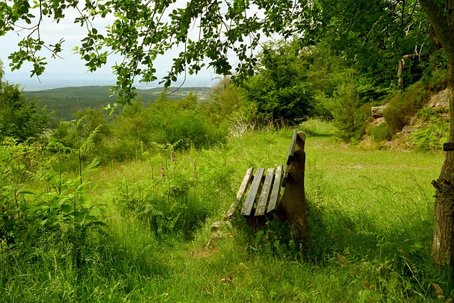 我不会遗忘 我不会遗忘